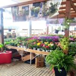 La Cooperativa da la bienvenida a la primavera